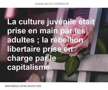 Citations Éric ZEMMOUR