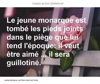 Citations Éric ZEMMOUR