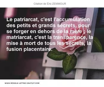 Citations Éric ZEMMOUR