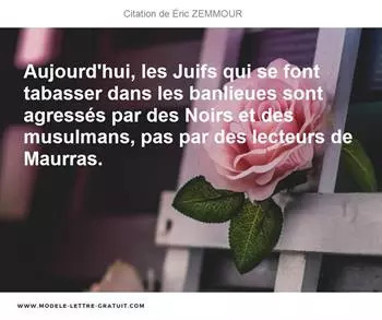 Citations Éric ZEMMOUR
