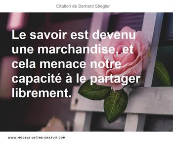 Citations Bernard Stiegler