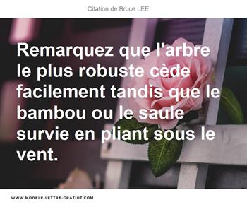Citations Bruce LEE