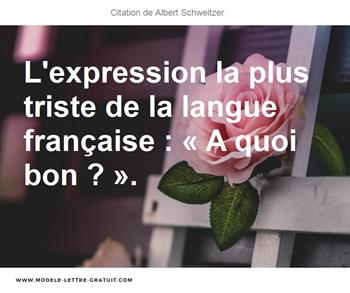 Citations Albert Schweitzer