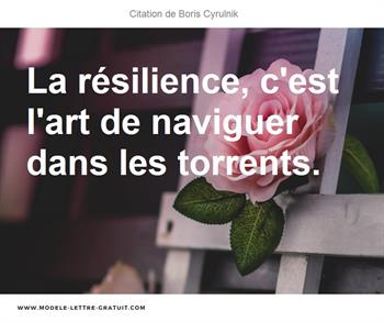 La Resilience C Est L Art De Naviguer Dans Les Torrents