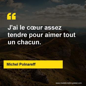 Citation de Michel Polnareff