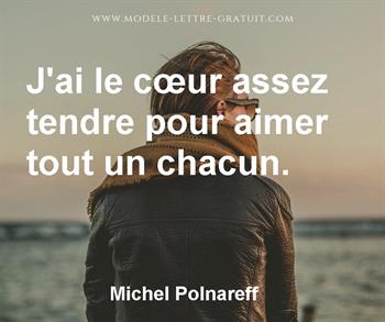 Citation de Michel Polnareff