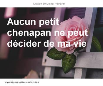 Citations Michel Polnareff