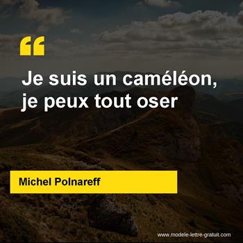 Citation de Michel Polnareff