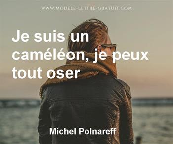 Citation de Michel Polnareff