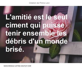 Citations Primo Levi