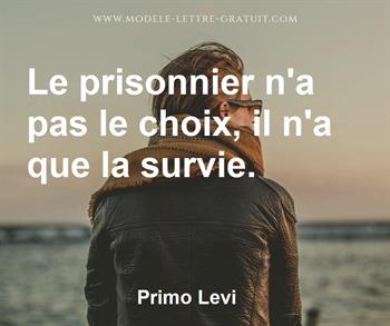 Citation de Primo Levi