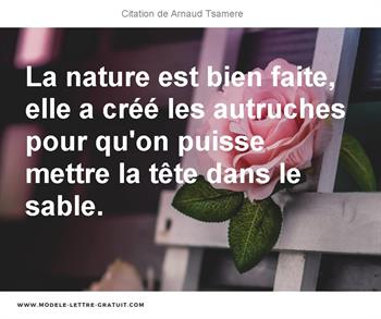 Citations Arnaud Tsamere