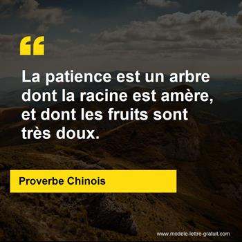 Citation Proverbe Chinois