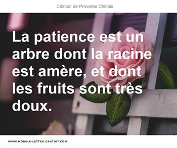 Citations Proverbe Chinois