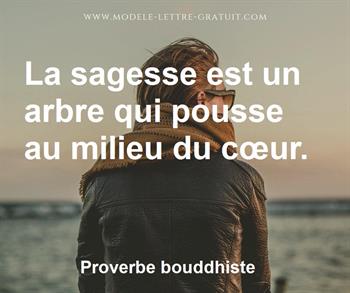 Citation de Proverbe bouddhiste