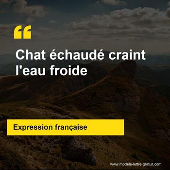 L'expression française Chat échaudé craint l'eau froide