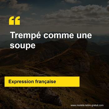 L'expression française Trempé comme une soupe