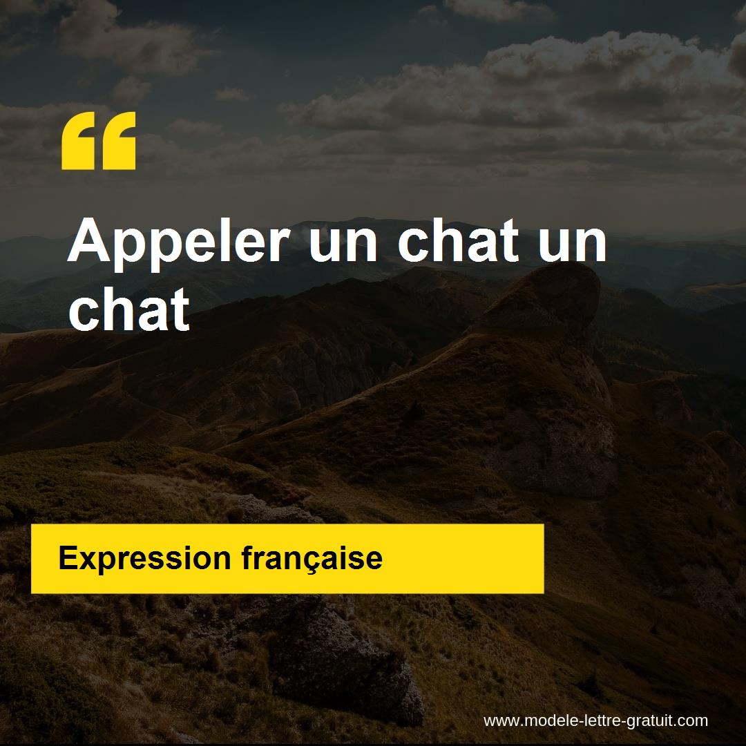 appeler un chat un chat in english