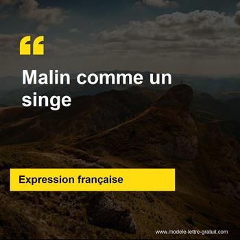 L'expression française Malin comme un singe