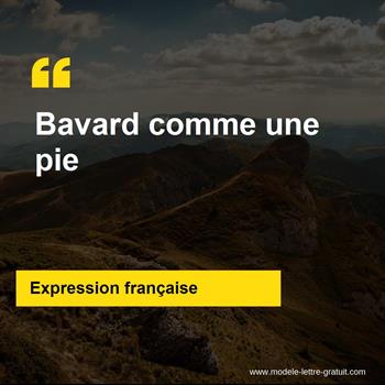 L'expression française Bavard comme une pie