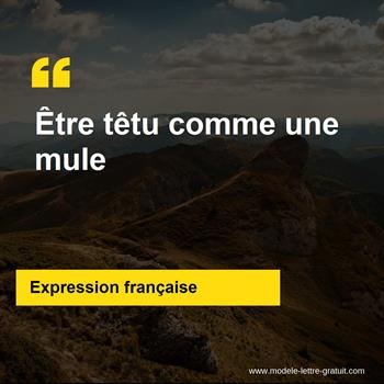 L'expression française Être têtu comme une mule