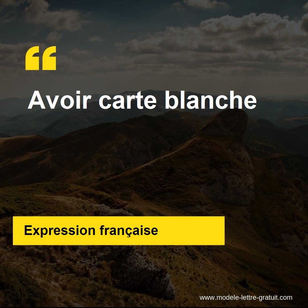 L'expression « Avoir carte blanche », signification et origine